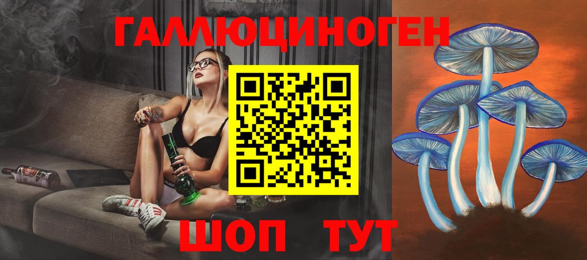 Мытищи  Галлюциногенные грибы прущие грибы  Вход с VPN 